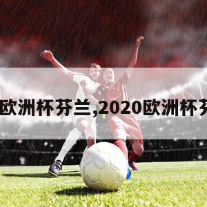 2024欧洲杯芬兰,2020欧洲杯芬兰队