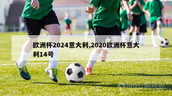 欧洲杯2024意大利,2020欧洲杯意大利14号