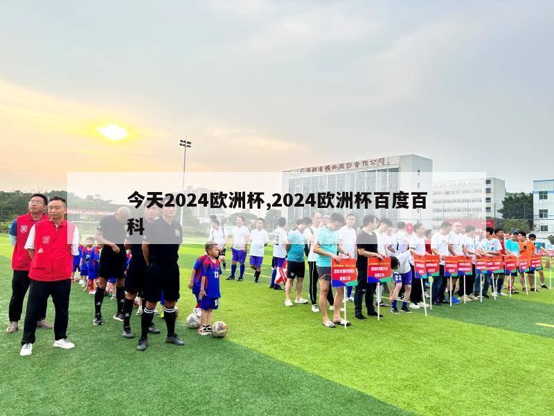 今天2024欧洲杯,2024欧洲杯百度百科