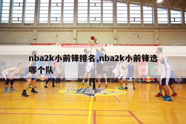 nba2k小前锋排名,nba2k小前锋选哪个队