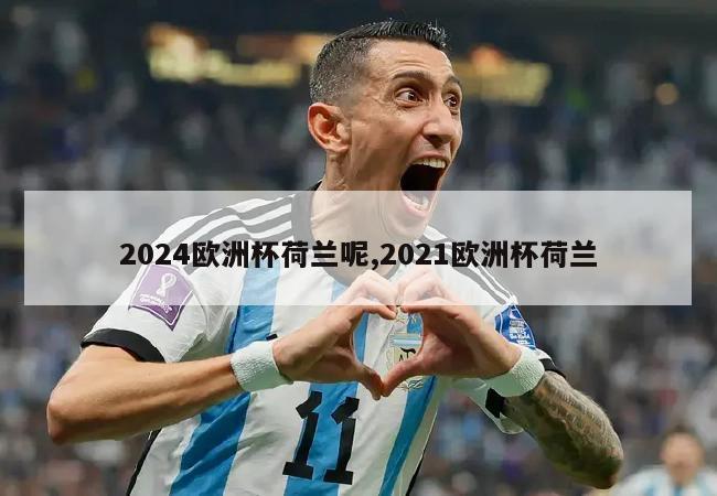 2024欧洲杯荷兰呢,2021欧洲杯荷兰