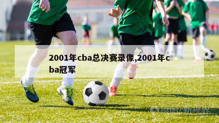 2001年cba总决赛录像,2001年cba冠军