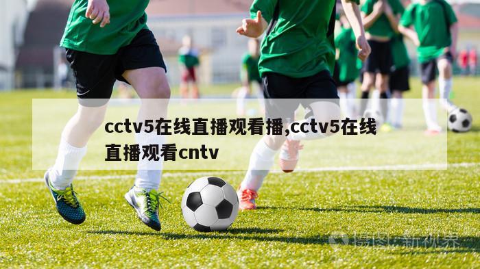 cctv5在线直播观看播,cctv5在线直播观看cntv