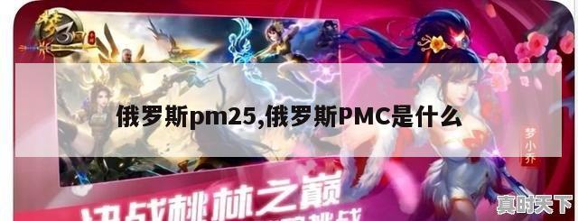 俄罗斯pm25,俄罗斯PMC是什么