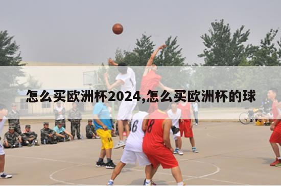 怎么买欧洲杯2024,怎么买欧洲杯的球