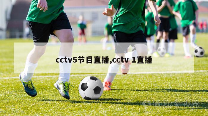 cctv5节目直播,cctv 1直播