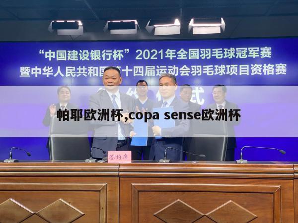 帕耶欧洲杯,copa sense欧洲杯