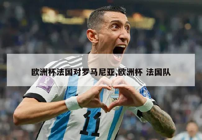 欧洲杯法国对罗马尼亚,欧洲杯 法国队