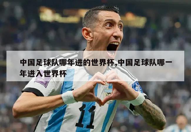 中国足球队哪年进的世界杯,中国足球队哪一年进入世界杯