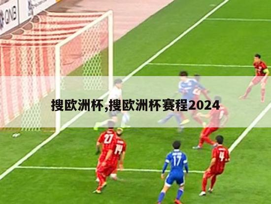 搜欧洲杯,搜欧洲杯赛程2024